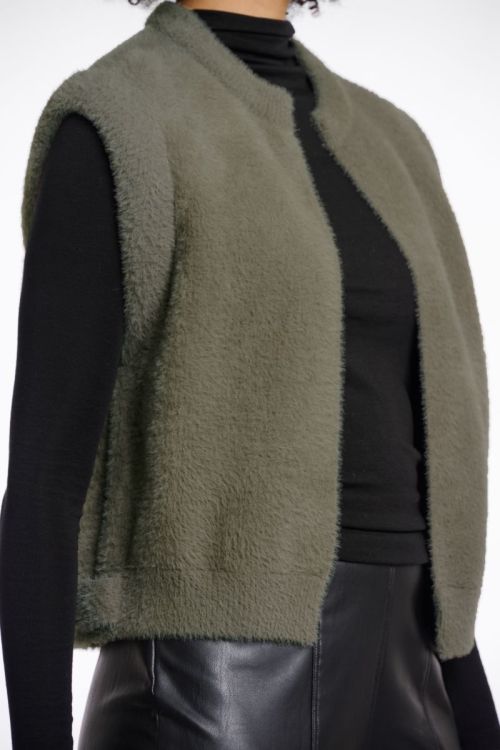  10867 green ash