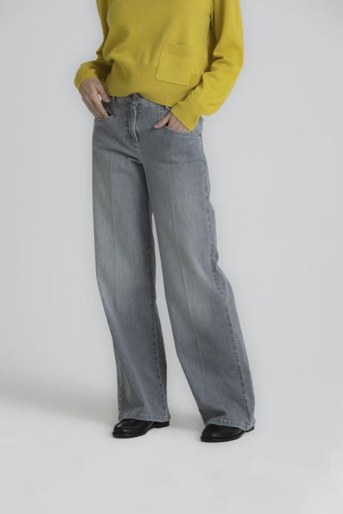 ROEZI DENIM 700 BROEK LIGHT GREY